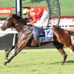 Transatlantic wins Magic Millions Buffering - Eagle Farm race 8