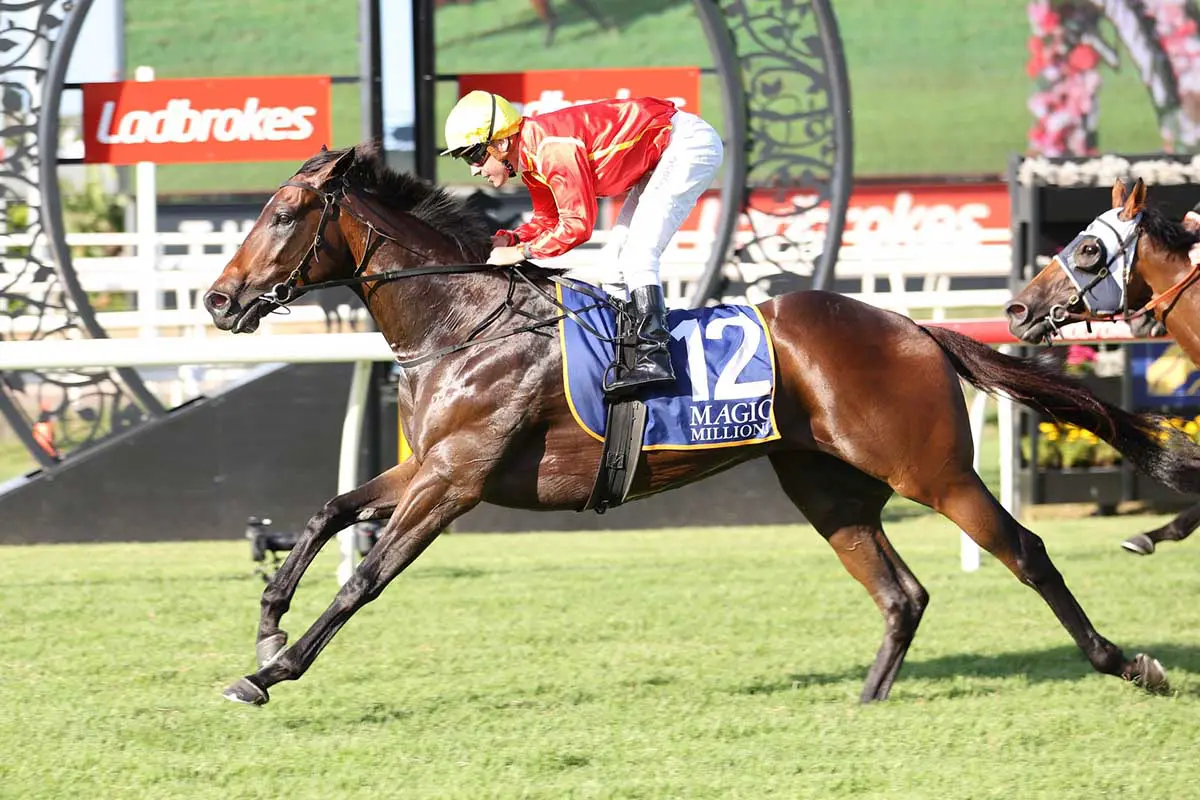 Transatlantic wins Magic Millions Buffering - Eagle Farm race 8