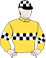 Darn Hot Lady silks