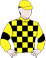 Gecko Coin Silks