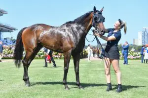 Grand Pierro Bagot Handicap