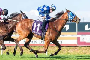 Hemlock Stone claims the 2025 Perth Cup