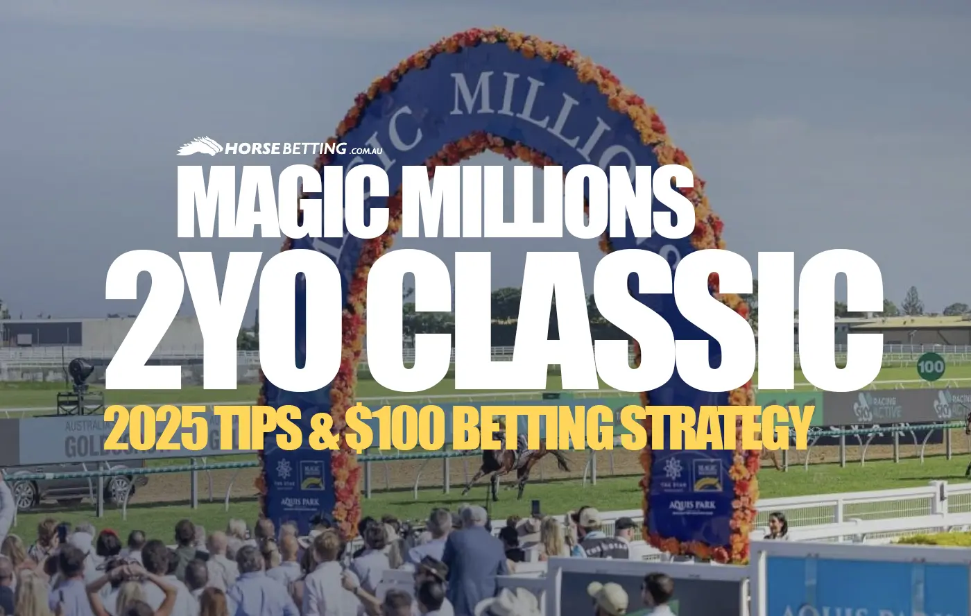 Magic Millions 2YO Classic 2025 Betting Preview & Strategy 11/1