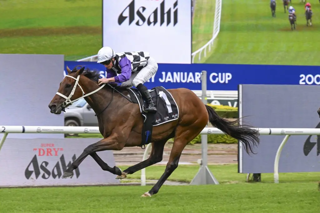 Osipenko wins January Cup at Rosehill