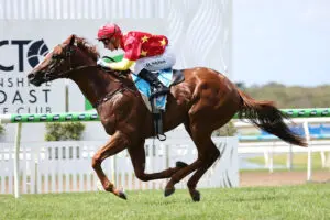 Quietly Arrogant wins Gold Nugget 2YO