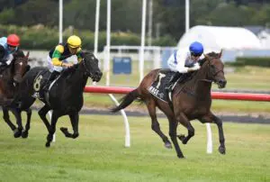 Savaglee brilliant in Levin Classic