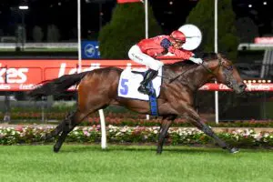 Schwarz Australia Stakes win