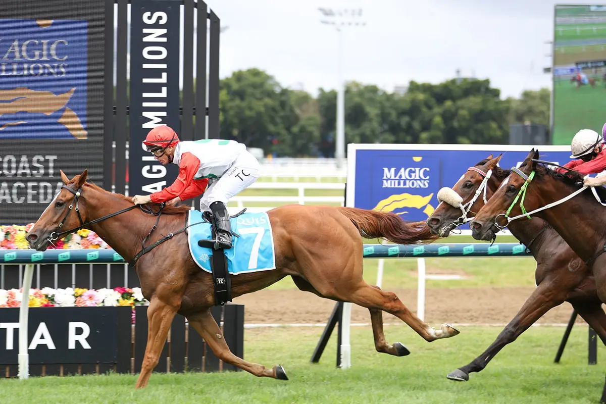 Slippin' Jimmy Wins Magic Millions Country Cup