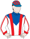 Steel Knight silks