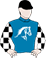 Written By Choice Silks