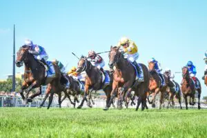 Blue Diamond Stakes Day 2025 Race Replays