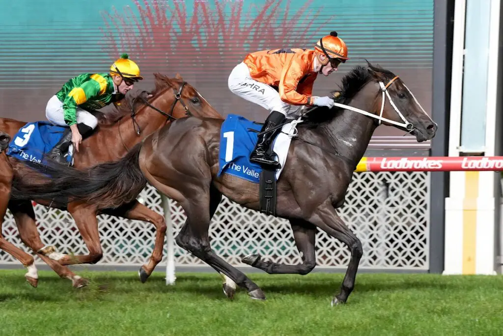 Brudenell wins Abell Stakes at Moonee Valley