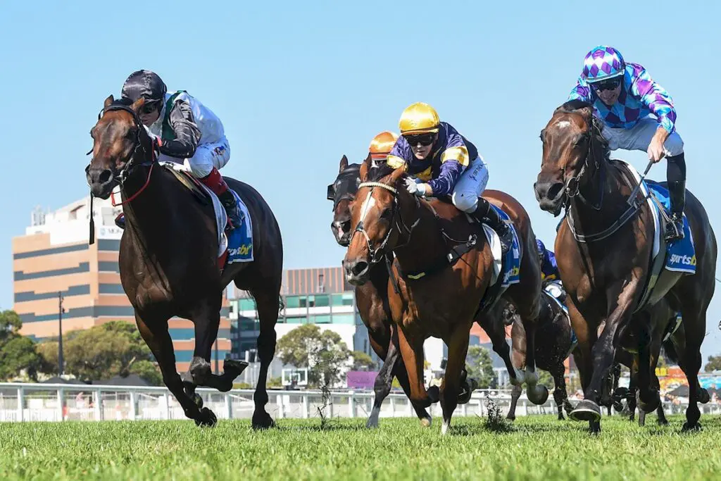 CF Orr Stakes Day 2025 Race Replays