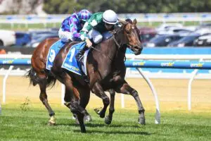 Treasurethe Moment Angus Armanasco Stakes