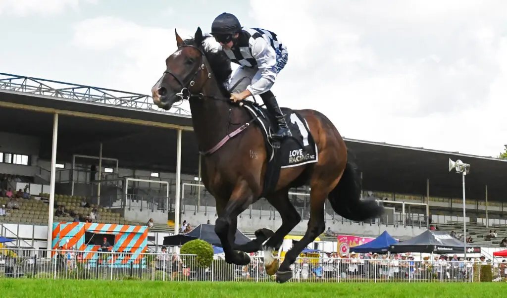 Tuxedo Waikato Guineas