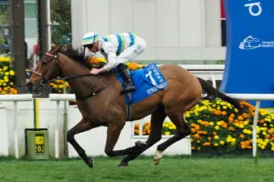 Voyage Bubble Hong Kong Gold Cup