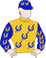Bernen Win Silks