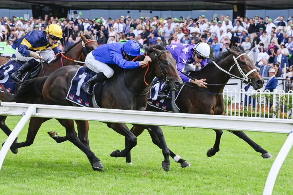 Broadsiding Rosehill Guineas