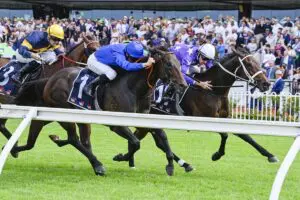Broadsiding Rosehill Guineas