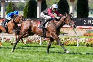 Cilacap Alexandra Stakes