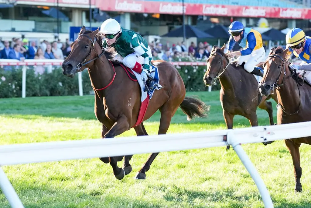 Clean Energy - Don Casboult Classic