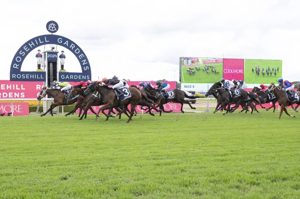 Coolmore Classic Day 2025 Promos
