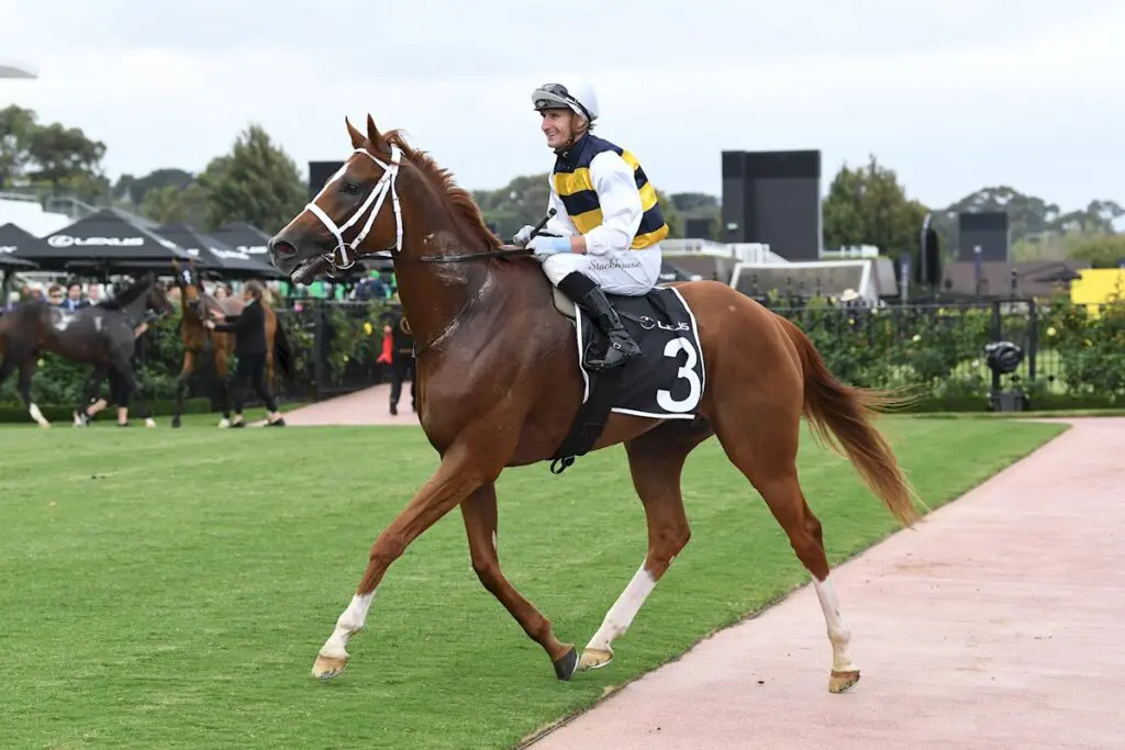 Deakin - Roy Higgins Quality