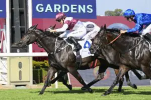 Eagle Nest Maurice McCartin Stakes