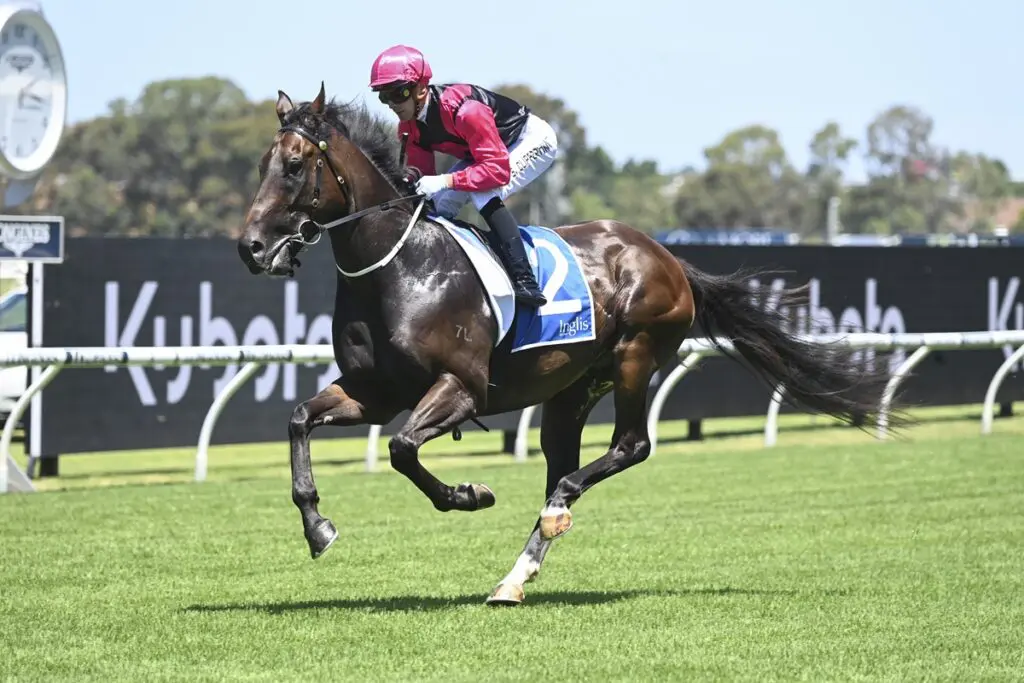 Gallant Star