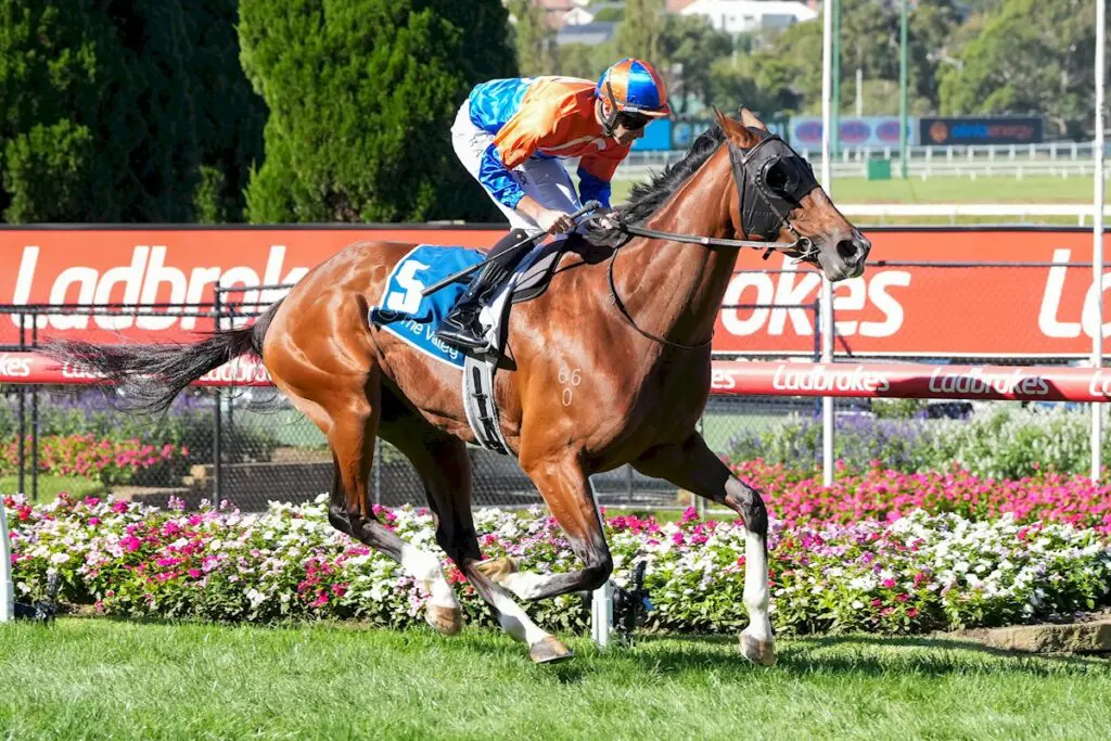 Grinzinger Belle Sunline Stakes