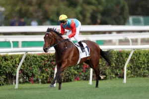 Ka Ying Rising The Sprint Cup