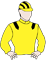 King Zephyr Silks