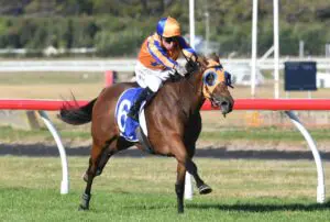 La Dorada Group 1 Manawatu Sires' Produce Stakes La Dorada Group 1 Manawatu Sires' Produce Stakes