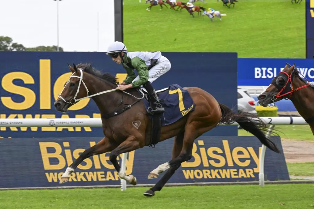 Mare Of Mt Buller - Epona Stakes