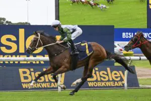 Mare Of Mt Buller - Epona Stakes