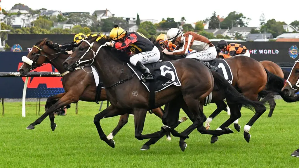 Provence New Zealand Throughbred Breeders' Stakes