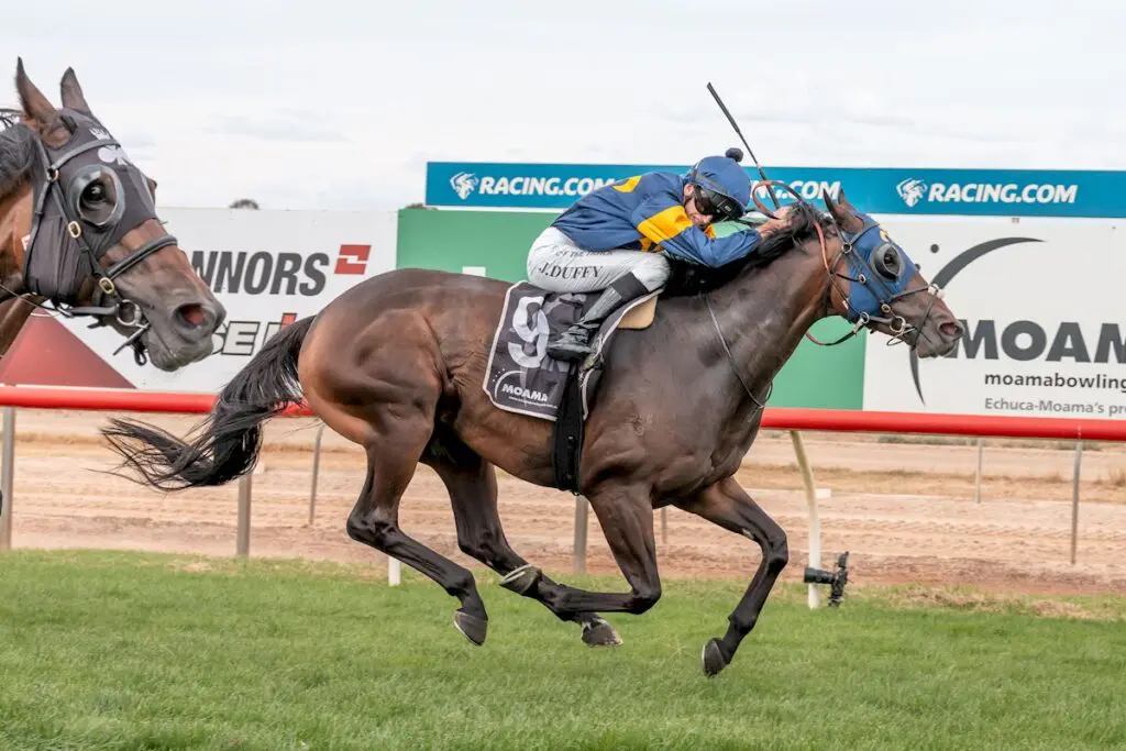 Red Phantom wins Echuca Cup