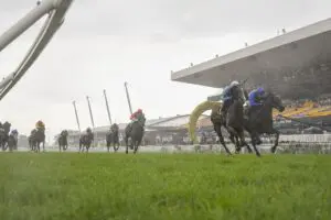 Rosehill Races Postponed Rosehill Races Postponed