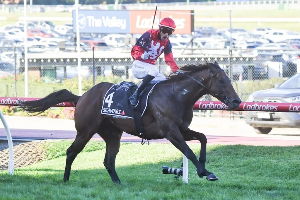 Schwarz - William Reid Stakes