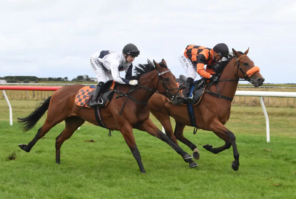 TOO SWEET & BRADMAN