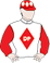 Silks
