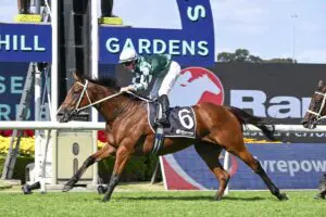 Via-Sistina Via Sistina - Ranvet Stakes
