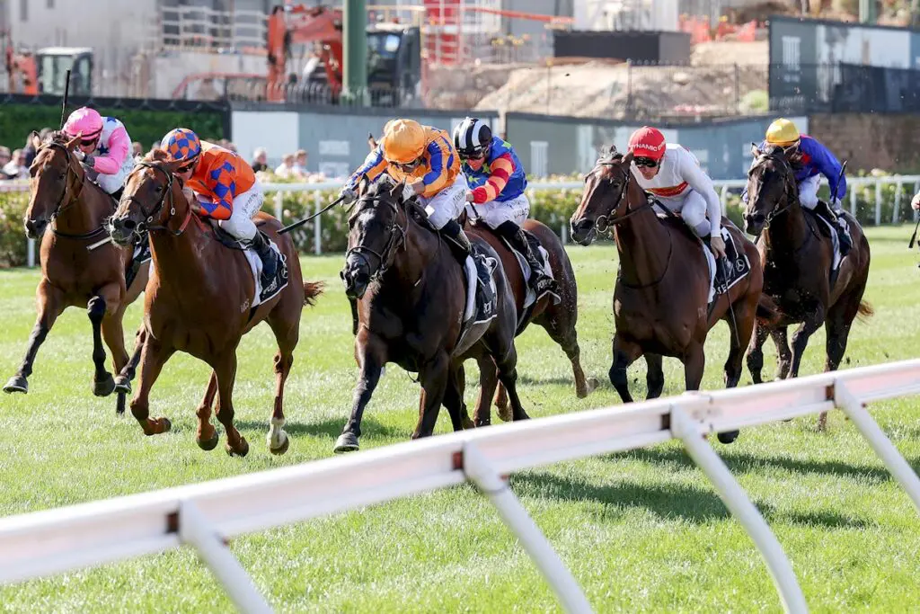 William Reid Stakes Day 2025 Replays