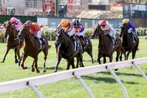 William Reid Stakes Day 2025 Replays