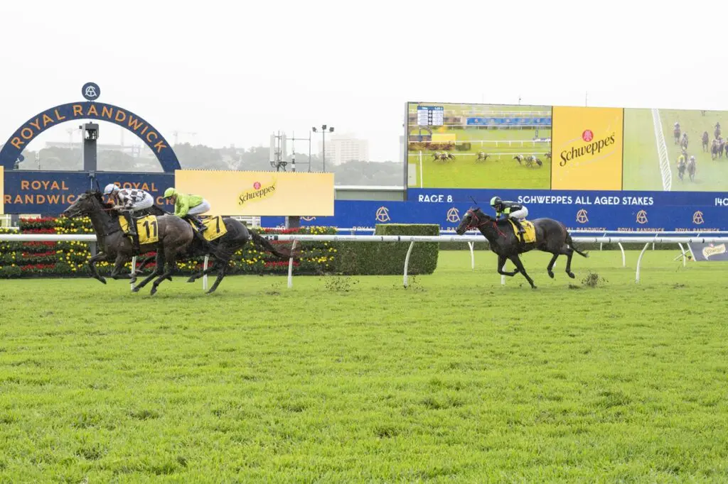 All-Aged Stakes Day 2025 Race Replays