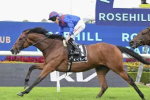 Dubai Honour Dubai Honour wins Tancred Stakes