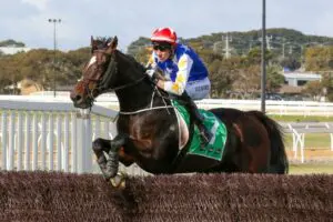 Duke Of Bedford - Brierly Steeplechase