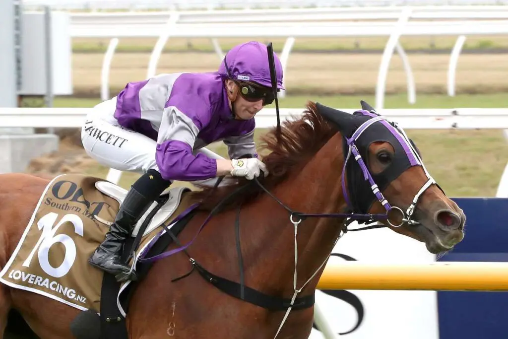Ears Back will contest The Greg Jones Memorial (1300m) at Ashburton on Thursday. Photo: Race Images South