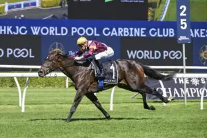 Evaporate - Carbine Club Stakes