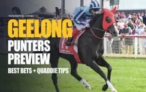 Geelong Punters Preview Geelong Punters Preview